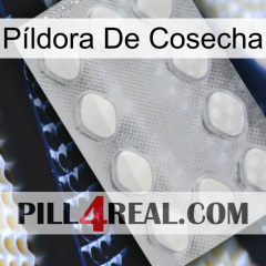 Píldora De Cosecha 16